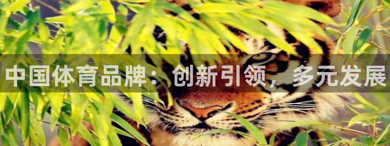 米兰体育官方正版app娱乐40996:中国体育品牌:创新引领