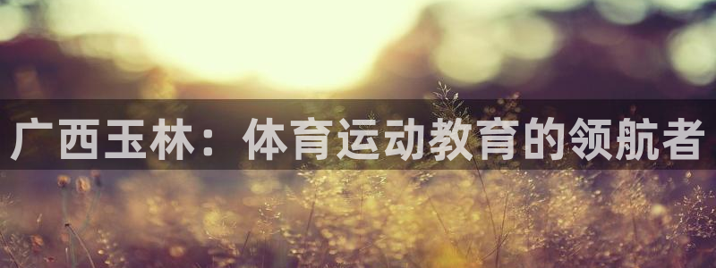 米兰体育官网下载平台APP:广西玉林:体育运动教育的领航者