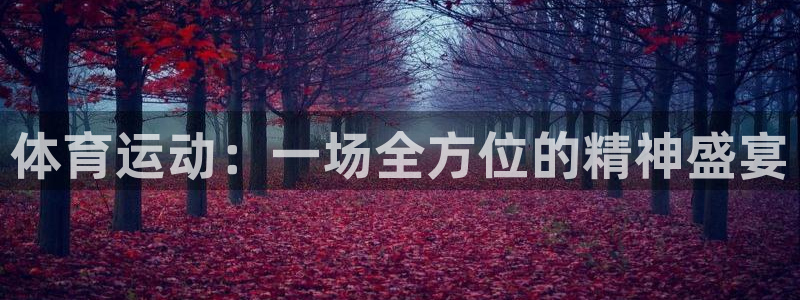 米兰体育官方正版app娱乐网站:体育运动:一场全方位的精神盛